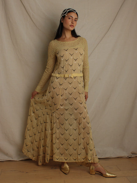 Edwardian Embroidered Lace Dress