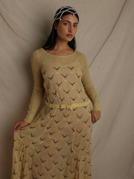 Edwardian Embroidered Lace Dress