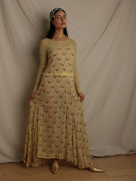 Edwardian Embroidered Lace Dress