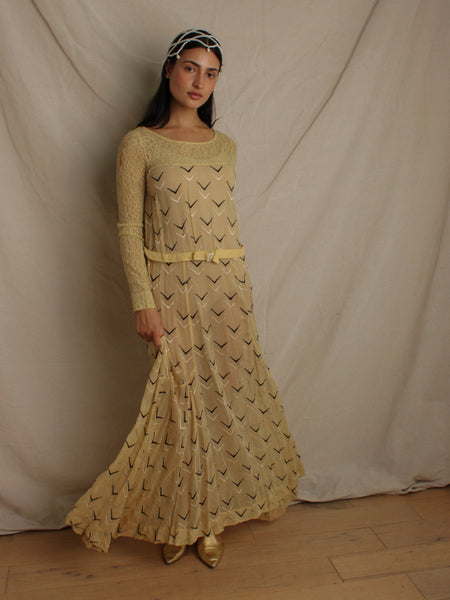 Edwardian Embroidered Lace Dress