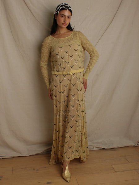 Edwardian Embroidered Lace Dress