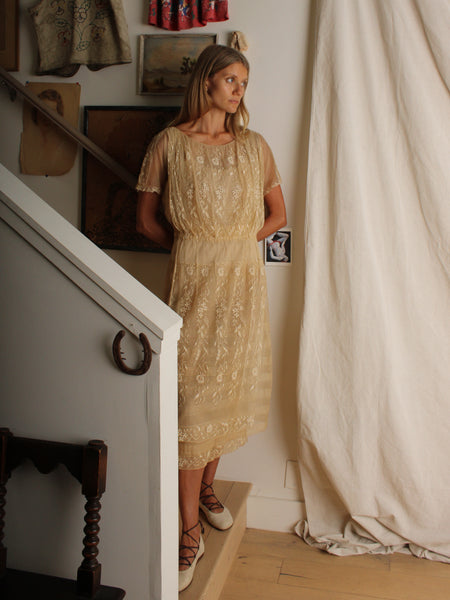 20s Embroidered Net Dress
