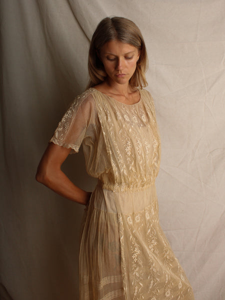 20s Embroidered Net Dress