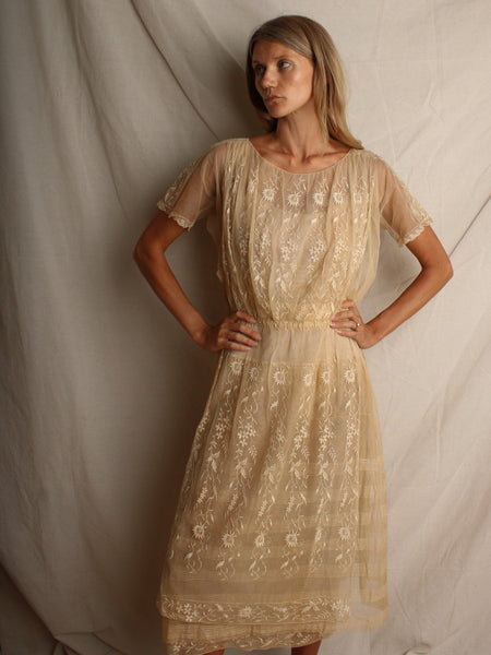 20s Embroidered Net Dress